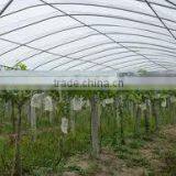 UV Protective pp Spunbond Non Woven Fabric for Agriculture thumbnail-1
