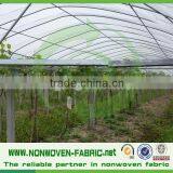 Eco Friendly 100% Polypropylene Spunbond Nonwoven Fabric for Agriculture Fruit Bag, Green House Garden Flower and Plants thumbnail-6