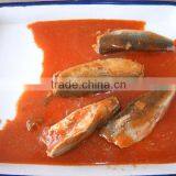 Good Quality Canned Mackerel in Tomato Sauce for Sale thumbnail-4