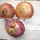 2015 Crop Fresh Red Onion for Sale With Cheap Price From China thumbnail-4