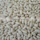 2014 Chinese White Kidney Bean With Cheap Price thumbnail-1