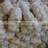 China Fresh White Garlic thumbnail-1