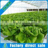 Used Hidroponica Greenhouse Frames Tunnels for Sale thumbnail-1
