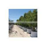 pp Woven Tree Bag thumbnail-2