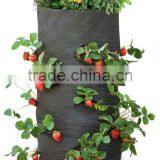 Heavy Strawberry Grow Bag thumbnail-1