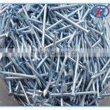 Cheap Price Polishing Common Nails/Common Wire Nails Made in China thumbnail-6