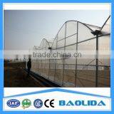 Large Multi Span Green House thumbnail-5