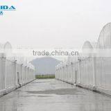 Cheap Easy Multi-span Greenhouse pe Film Green House thumbnail-4