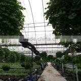 Black Net Pot Plastic Flowet Pot thumbnail-1