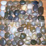 Natural Mixed Color Flat Pebble Stone thumbnail-2
