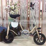 2017 New Arrival Electric Folding Bike, Unique Design High Quality 36V 250W Folding Electric Bicycle For Wholesale thumbnail-5
