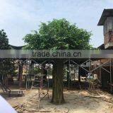 Fiberglass Big Ficus Tree