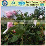 Cut Flower Sleeve thumbnail-4
