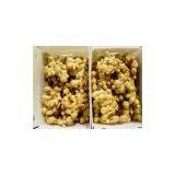 Fresh Ginger With New Crop thumbnail-1