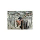 Steel Pipe/tube for Animal Fence