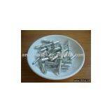 Stainless Steel Blind Rivet thumbnail-1