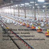 Ecuador Poultry Farm Equipment Automatic Broiler Floor Raising System & Chicken Deep Litter System With Automatic Drinking& Feeding System in Chicken Coop