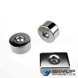 Customer Customized Permanent N52 Ndfeb Neodymium Rare Earth Magnet Neodymium Magnet With Screw Hole thumbnail-4