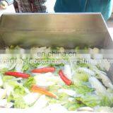 FXP-70 Washer Vegetable Lettuce Cabbage Pepper Cleaning Machine Vegetable And Fruit Washing Cleaning Machine thumbnail-4