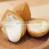 Kubba Falafel Arancini Coxinha Food Encrusting Machine For Sale thumbnail-3