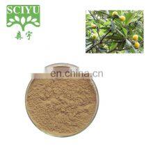 Loquat Leaf Extract , Ursolic Acid Powder 20% 25% 50% 98%