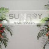 Sunroy International Inc. company overview - view 1 thumbnail