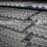 accept custom order and eco-friendly recycled molded pulp tray for egg