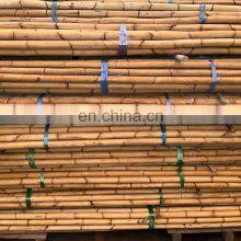 Rattan Manau With Peel Grade AB Grade ABC 3meter 4meter Manau Rattan Furniture Material Indonesian Malaysia Furniture Part thumbnail-5