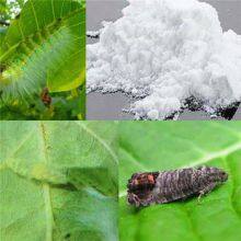 Supply Insecticides Imidacloprid 97%TC Imidacloprid Pest Control Cas 138261-41-3 thumbnail-3