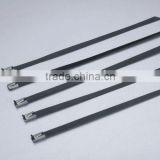 Polymer Coating stainless steel cable tie