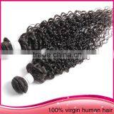 Factory Direct Sell Virgin Brazilian Jerry Curl Hair Weave Burgundy Brazilian Hair Weave Bundles Brazilian Virgin Hair Fix Hair thumbnail-2