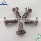 Slotted Oval Head Screw Decorative Head Screw