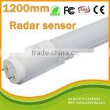18w T8 Microwave Radar Sensor Led Tube Lighting 2 Years Warranty thumbnail-4