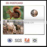 Deep 3D Postcard,3D Post Card,lenticular Postcard