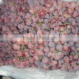 Red Global Grape/Red Grape/Bulk Grape thumbnail-2