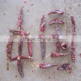 export dried red chilli