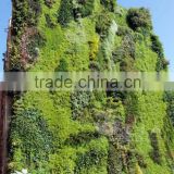 Cheap price garden landscpae artificial outdoor plants vertical green wall
