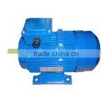 YE2-315L2-2 (2 Pole Three Phase High Efficient Asynchronous Industry Motor AC Motor) thumbnail-5