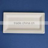 PL-10-05-R 10*5 Inches Sugercane Flate Rectangle Shape Dinner Plates Quality Choice thumbnail-3