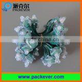 Green Wire Ws2811/sm16703/ucs1903 RGB 12mm 5V Round LED Pixel String