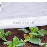 Junyu Agriculture Nonwoven Fabric as a Protection Against Heat Loss in Greenhouses and Garden Tunnels thumbnail-3