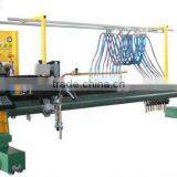 CNG4000 H Beam Cutting Machine Strip CNC Gas Cutting Machine