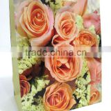factory paper shopping gift bag