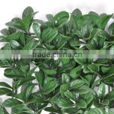 Bayberry leaf fence for garden decoration