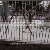 Pool Fencing Panels thumbnail-5