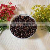 Purple Speckled Kidney Bean thumbnail-4