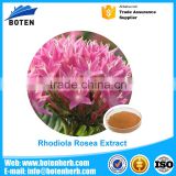 Good price 100% Pure Natural Rhodiola Rosea Extract 1%-10% Rosavin OEM