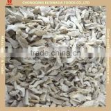 top quality frozen oyster mushroom cultivation