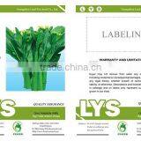 CS03 Dazhong 70 Days Cold Resistant Green Choy Sum Seeds for Sowing thumbnail-2