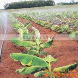 32mm Micro Spraying Lateral Tape